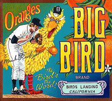 bb-sakoguchi-077-mark-fidrych-big-bird-detroit-tigers-baseball