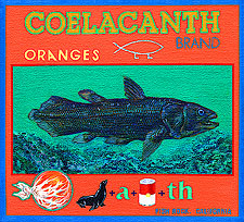 oc-sakoguchi-63-coelacanth-rebus
