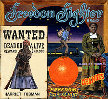 sl-sakoguchi-034-harriet-tubman-underground-nurse-spy-scout-40,000-reward-drinking-gourd-railroad